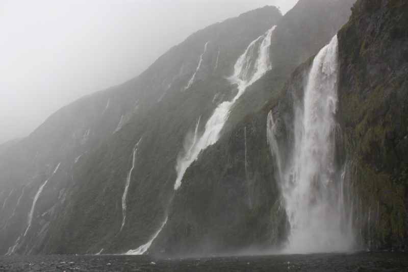 Nieuw-Zeeland 2011 - 1714